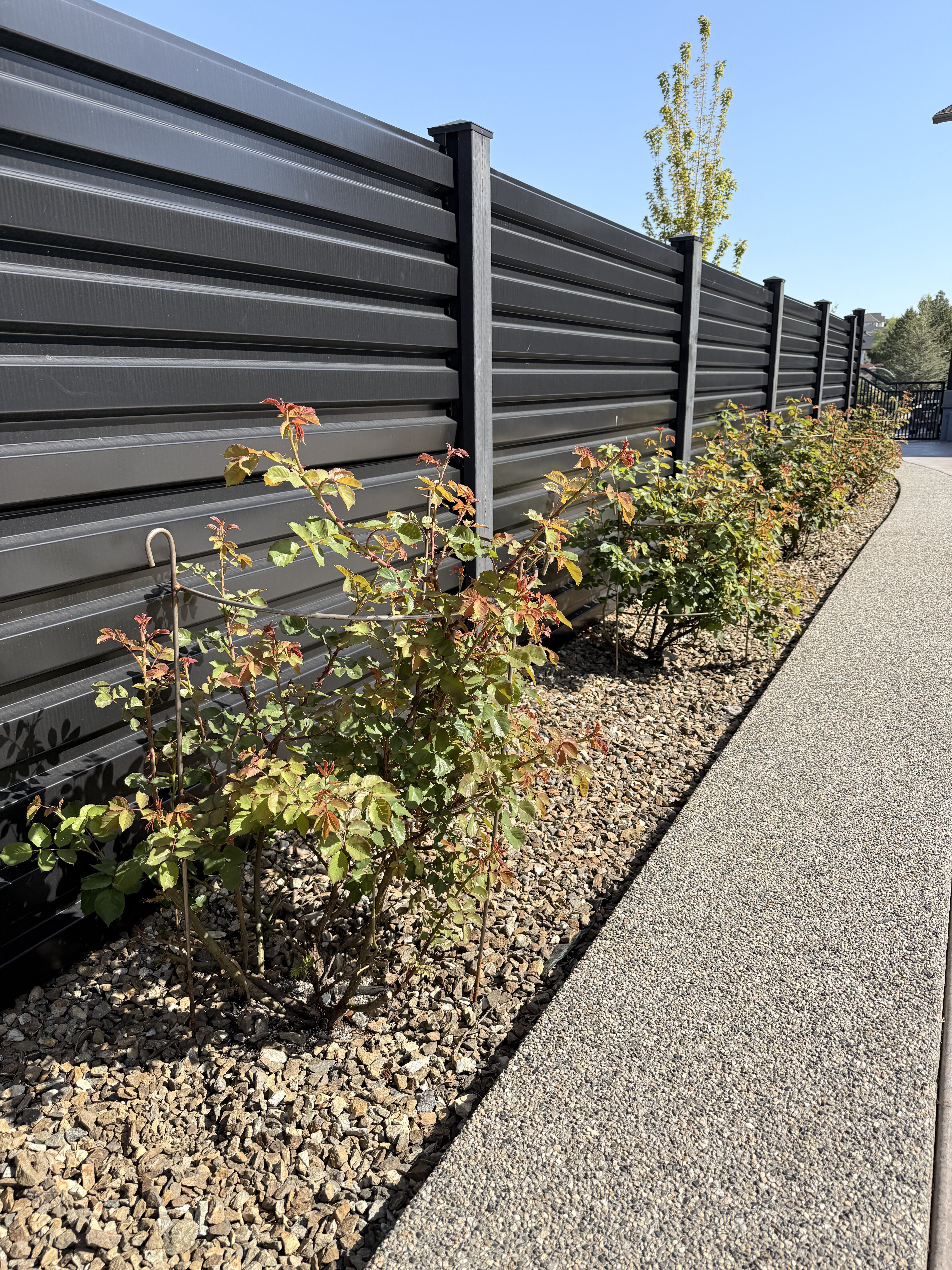 Wrought Iron Plant Cages - Image 4
